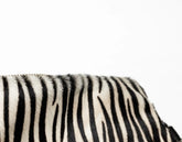 Close-up of a zebra&